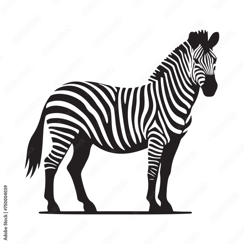 Obraz premium Vector Zebra Silhouette - Embracing the Grace and Beauty of Africa's Iconic Striped Equine. Zebra illustration, Zebra vector.