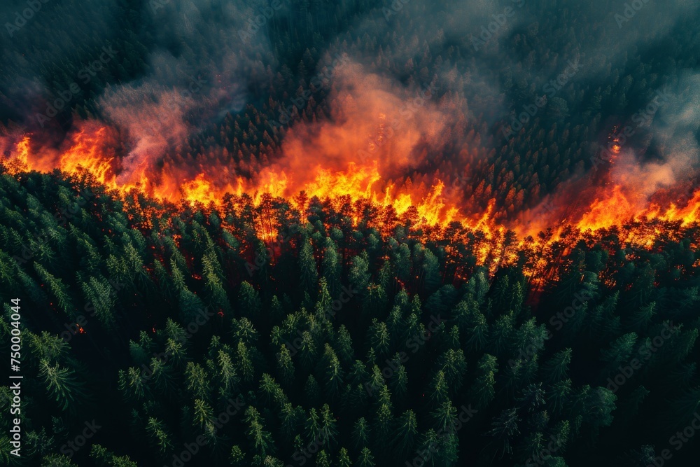 A bird's-eye view captures the intense wildfire spreading through a dense forest