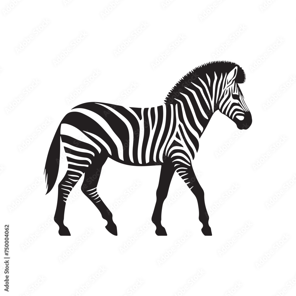 Obraz premium Vector Zebra Silhouette - Embracing the Grace and Beauty of Africa's Iconic Striped Equine. Zebra illustration, Zebra vector.