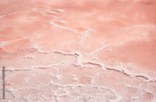 Camargue, France. Europe's largest salt marshes Salin-de-Giraud, sea salt production, pink sea salt lake, Salins d’Aigues-Mortes. 