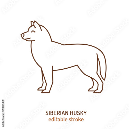 Siberian husky dog silhouette. Editable vector illustration photo
