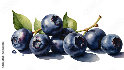 png watercolor blueberries realistic, appetizing, on transparent background, sublimation for t-shirt and packaging, your design