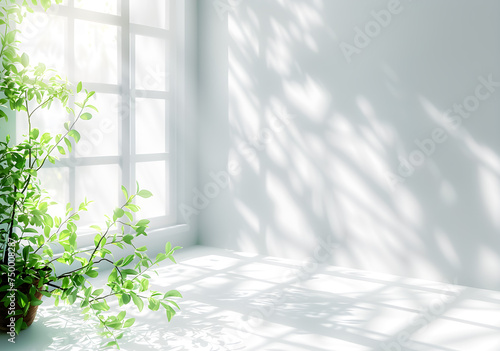 Empty modern, window frame shadow for modern interior decoration, luxury cosmetic, beauty treatment product display background