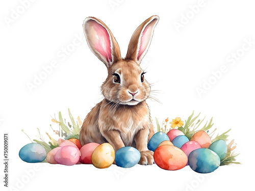 png watercolor hare, rabbit with easter eggs, on transparent background, sublimation for t-shirt and postcard, your design