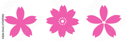 桜の花　セット　アイコン	