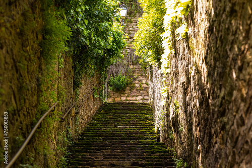 Old mossed cobblestone stairs with ivy-covered walls, the village of Cordes-Sur-Ciel in France