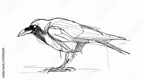 crow drawing in one continuous line