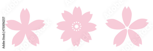 桜の花　セット　アイコン