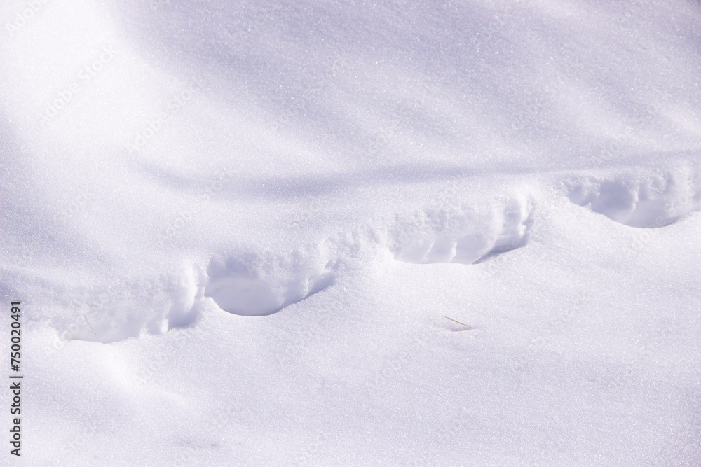 Photo of the snow texture without unnecessary elements, natural.