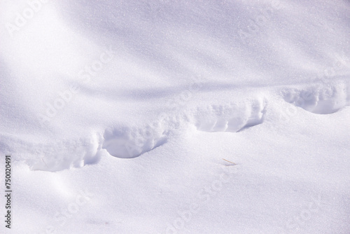 Photo of the snow texture without unnecessary elements, natural.