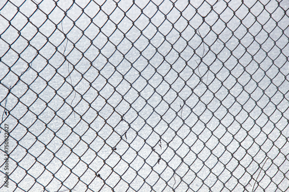Fototapeta premium Mesh fence photo in winter.