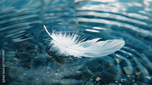 A white feather floating on the surface of a lake, calm, peaceful, balance concept