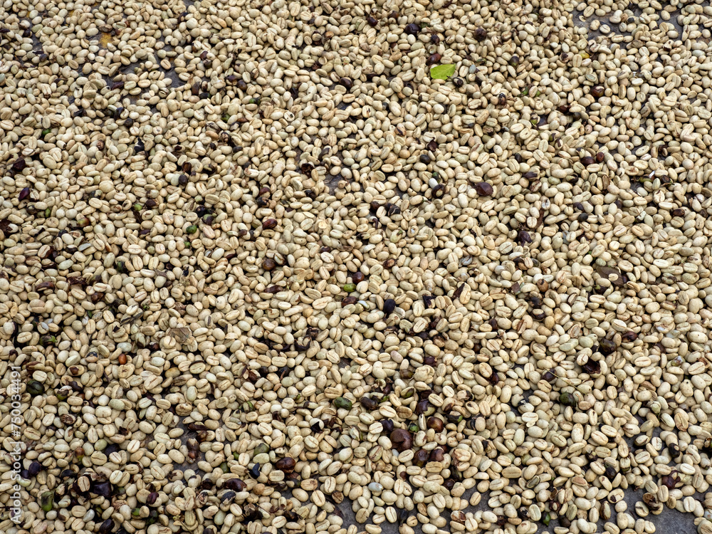 Coffee beans spread out on a tarp for drying. Valle Del Cocora. Colombia. Coffee beans spread out on a tarp for drying. Valle Del Cocora. Colombia.