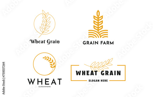 Set of wheat agriculture logo design creative idea 