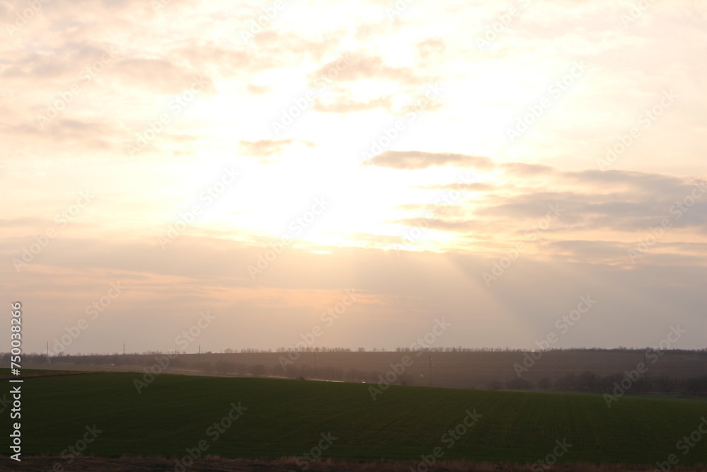 Fototapeta premium A field with a sunset in the background