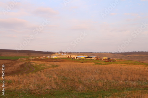 A field with a house in the distance