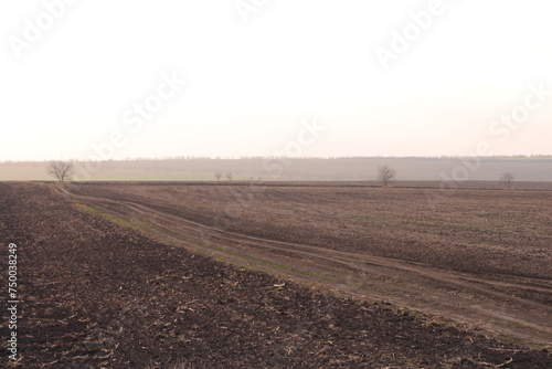 A dirt road with a field and trees in the background