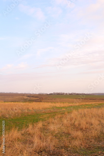 A field with grass and a blue sky