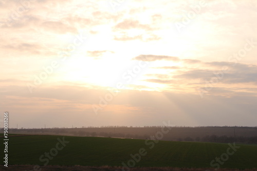 A field with a sunset in the background