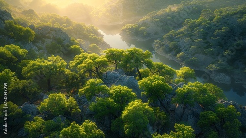 A camping riverside campsite with a lush green forest 