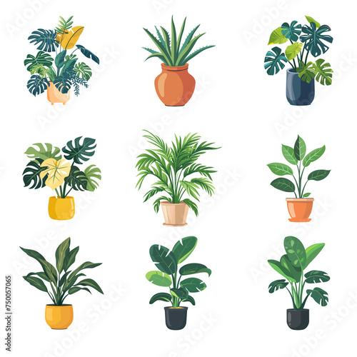 Set of tropical plants vector icon illustration. Monstera Houseplant, Urban jungle, House plants, fashionable home decor with potted plants for the interior