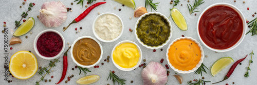 Slika na platnu Different types of sauces in bowls with seasonings banner, rosemary and pepper,