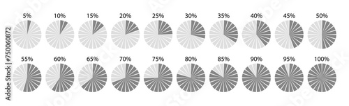 Piechart with percent segments. Round section graph divided into slices. Pie diagram template. Gray circle chart. Circular structure pieces. Set schemes. Vector illustration