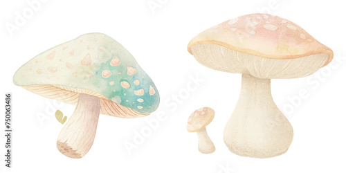 cute mushroom watercolour vector illustration