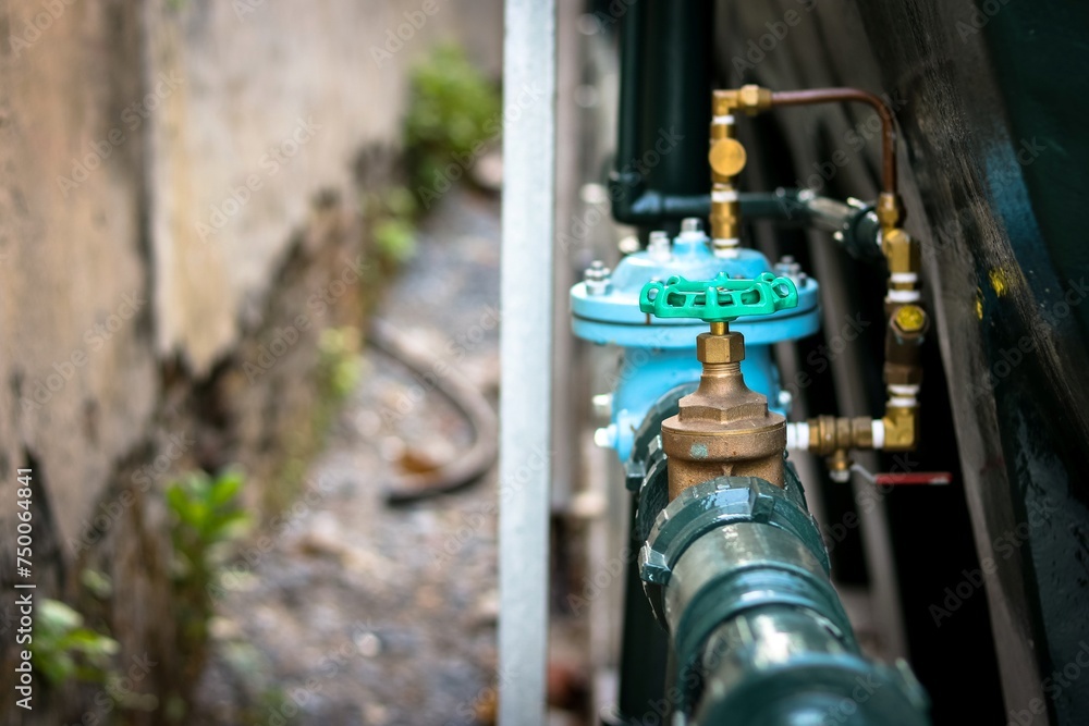 Brass water gate valve with green handwheel.