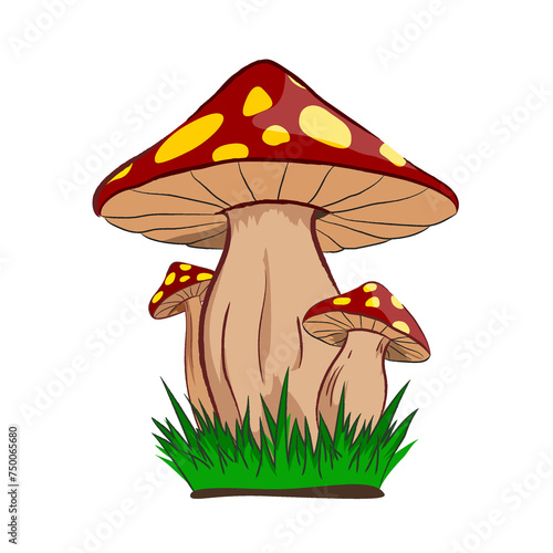 mushroom