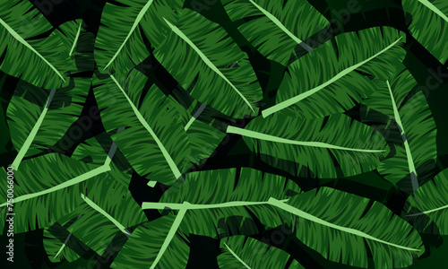 abstract green leaves, jungle leaf seamless floral pattern background. banana leaves.