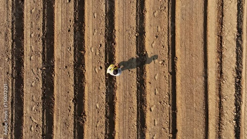 Topdown drone shot an indian farmer walking to his farm to scatter urea or chemical fertiliser for the wheat crops in Uttar Pradesh, India. Chemical fertiliser being used on indian farm