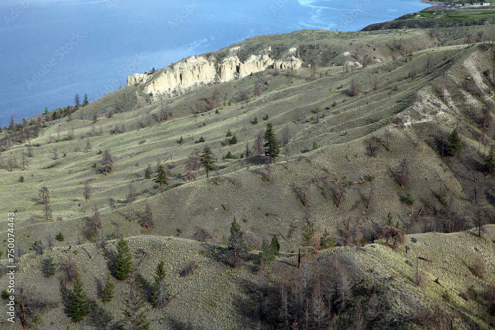 Landscape from trans-canadian Highway 1 near Kamloop and Savona - Kamloop lake - British Columbia - Canada