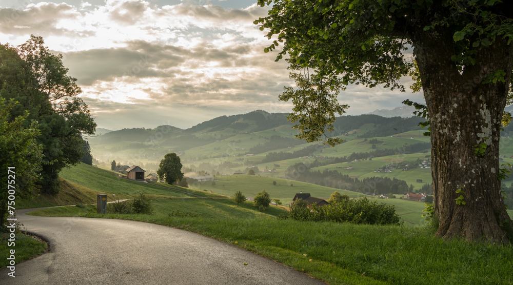 Obraz premium idyllic view overlooking the green hills in Appenzeller region. Early morning view with some fog in the valley. Early morning warm morning light. hills in Appenzell, Switzerland.