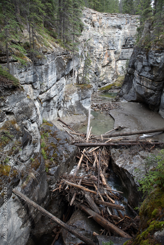 Maligne canyon near Jasper - Alberta - Canada Maligne canyon near Jasper - Alberta - Canada