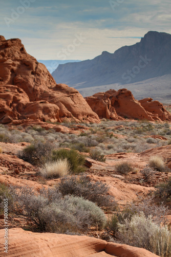 Sage brush and red rock combine to create a beautiful scene in the desert area or Bryce Canyon national park in Utah photo