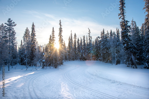 Winter sunset landscape