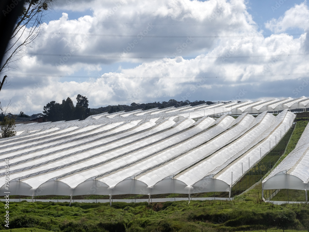 Large area of Colombia foil greenhouses.