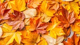 a carpet of colorful fall foliage creating a warm seasonal background