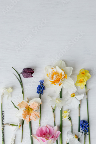 Stylish spring flowers flat lay on rustic white table, space for text. Hello spring, floral banner. Beautiful daffodils and tulips bouquet border on wood. Happy womens day and Mothers day photo