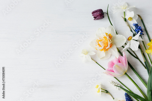 Happy womens day and Mothers day. Stylish spring flowers flat lay on rustic white table, space for text. Beautiful daffodils and tulips bouquet border on wood. Hello spring, floral banner