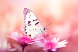 Beautiful image in nature, butterfly on pink flower against blurred background.