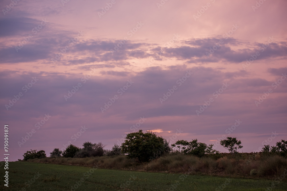 Tranquil scene of a field under soft pink sky at dusk, capturing the serene end to day. Soft pink hues adorn the sky above a tranquil rural landscape at dusk.