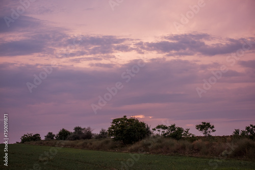 Tranquil scene of a field under soft pink sky at dusk  capturing the serene end to day. Soft pink hues adorn the sky above a tranquil rural landscape at dusk.