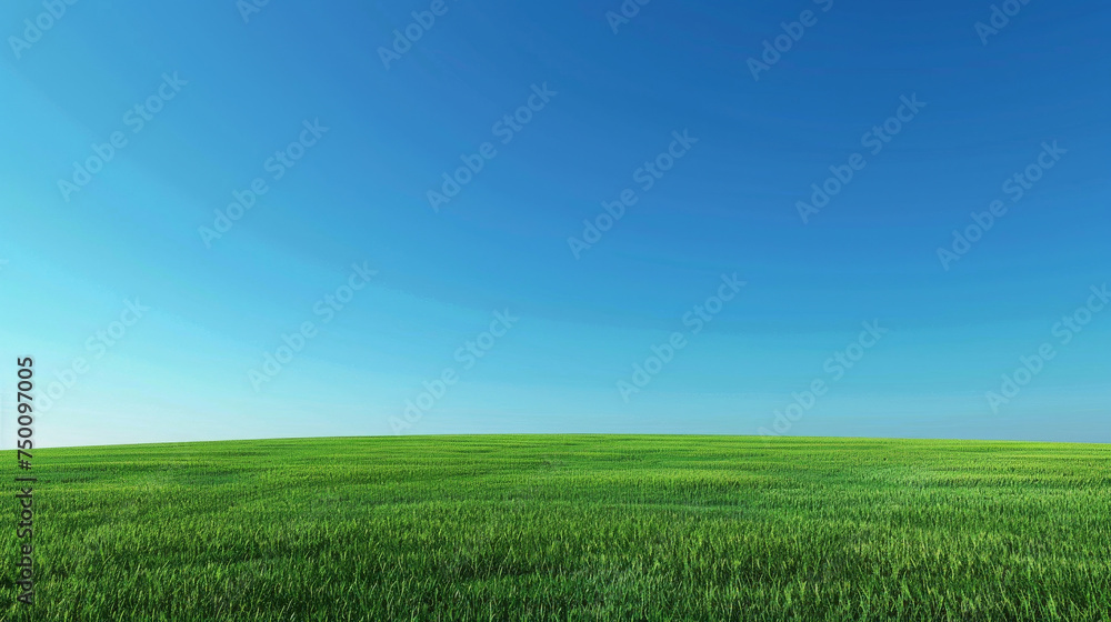 blue sky over a green field