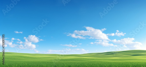 blue sky over a green field