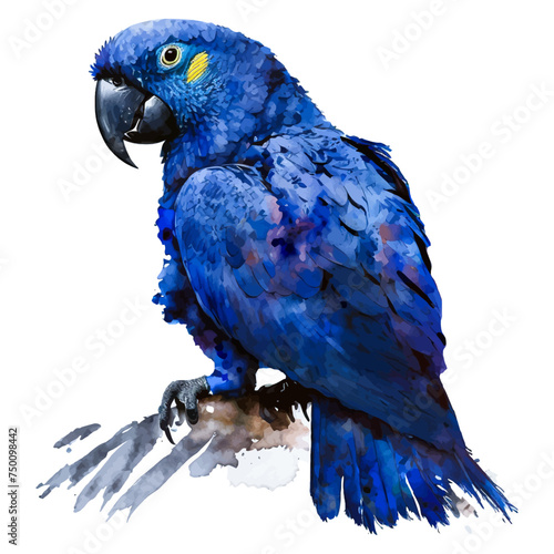 Blue Parrot Panache Watercolor Macaw Illustration features the charismatic Hyacinth Macaw, its striking blue feathers rendered with artistic flair. This digital watercolor creation is a charming add