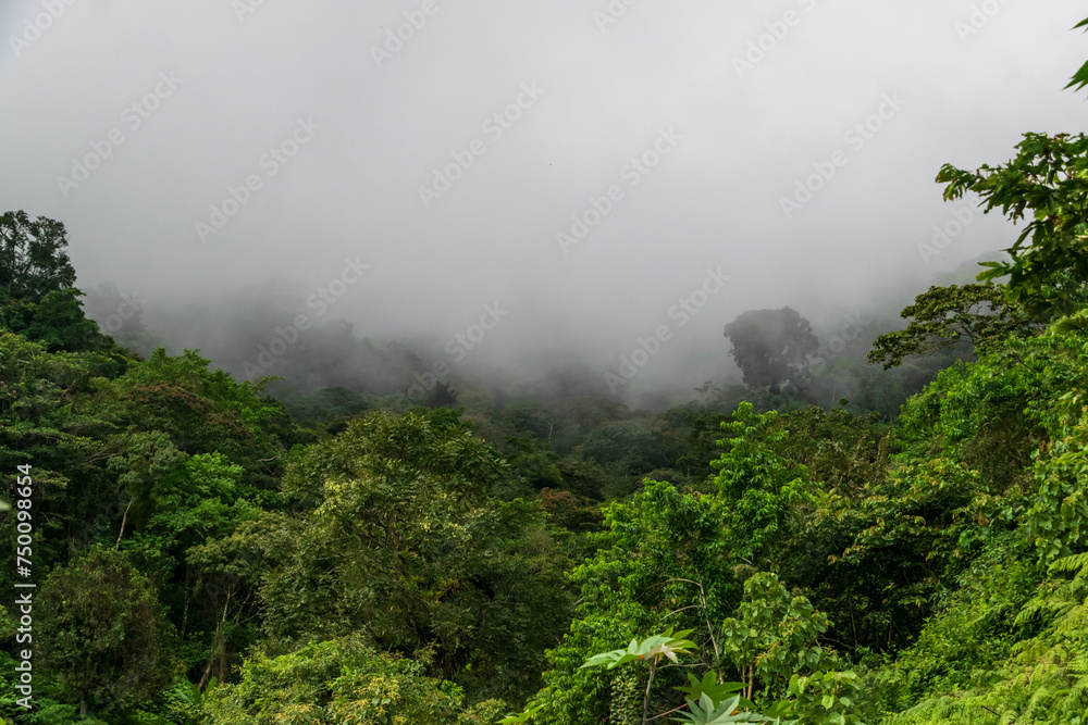 Caminata por la montaña, naturaleza y cascadas Panama