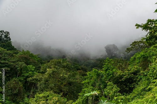 Caminata por la monta  a  naturaleza y cascadas Panama