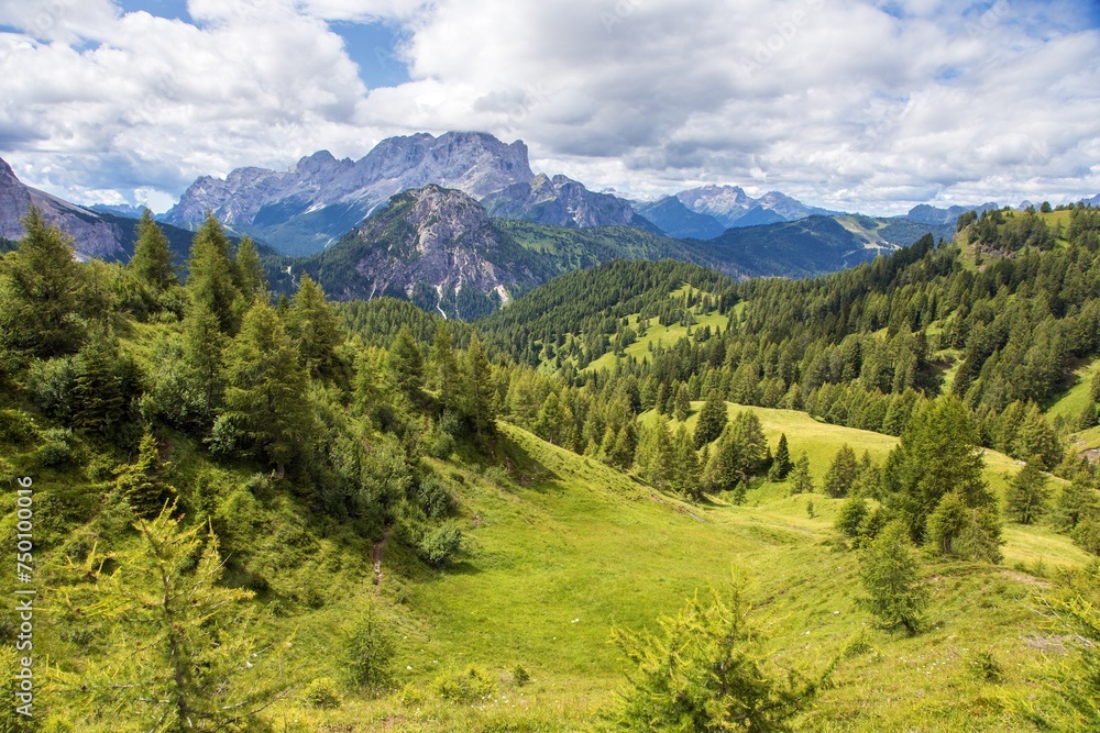 Alps Dolomites mountains, view with meadow and forest